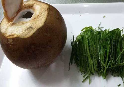 chế biến dừa xiêm và lá trầu không chữa gout