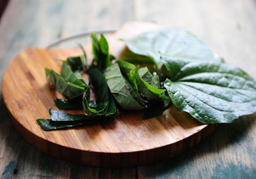 Chế biến lá lốt chữa bệnh gout