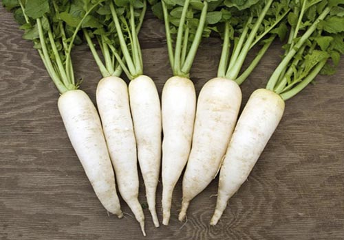 Củ cải đường chữa bệnh gout