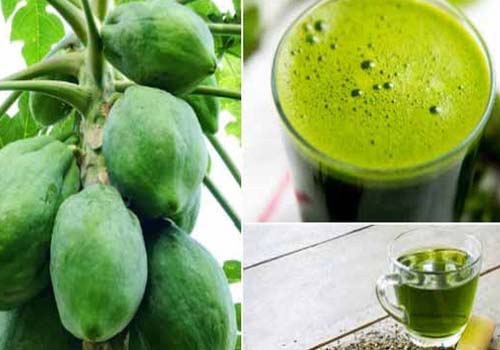 Chế biến đu đủ và trà xanh chữa bệnh gout