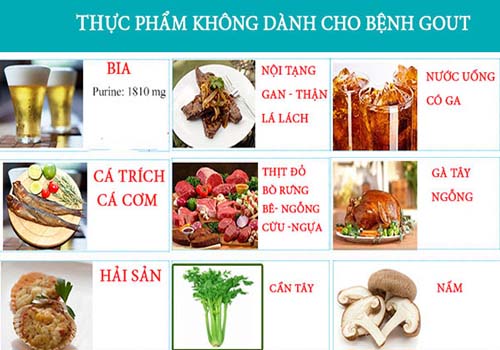 Các thực phẩm hàm lượng purin cao người bị bệnh gout tuyệt đối không nên sử dụng