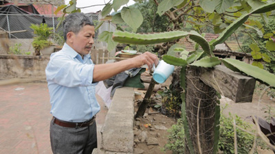 Chú Hỷ đã trở lại cuộc sống bình thường nhờ Hoàng Tiên Đan