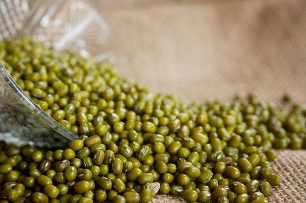 Chữa bệnh gout từ đậu xanh