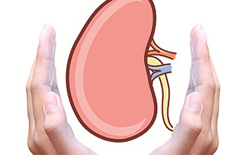 trị gout từ căn nguyên của thận