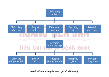 Bệnh gút là nguyên nhân hàng đầu gây yếu sinh lý
