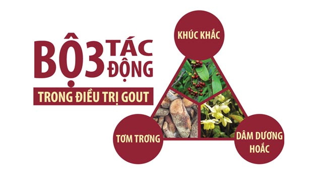 Bộ 3 dược liệu độc đáo của Hoàng Tiên Đan