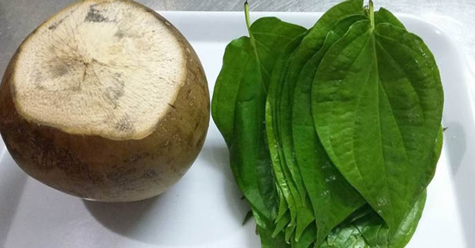 Lá trầu không và nước dừa – bộ đôi trị gout hiệu quả