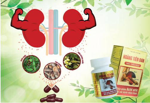 Hoàng Tiên Đan Tiêu tan nỗi lo bệnh gút
