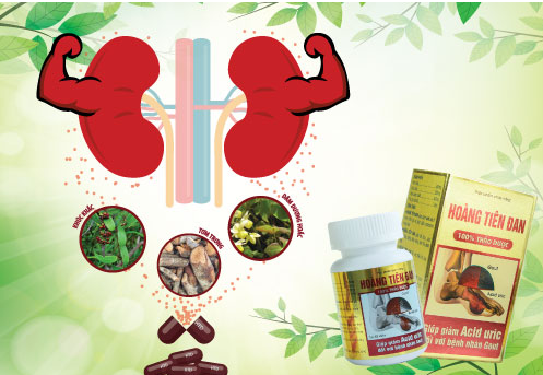 Hoàng Tiên Đan – Tiêu tan nỗi lo bệnh gout