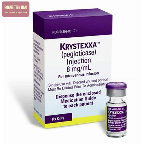 Pegloticase là một trong những loại thuốc bác sĩ kê đề điều trị tốt bệnh gút.