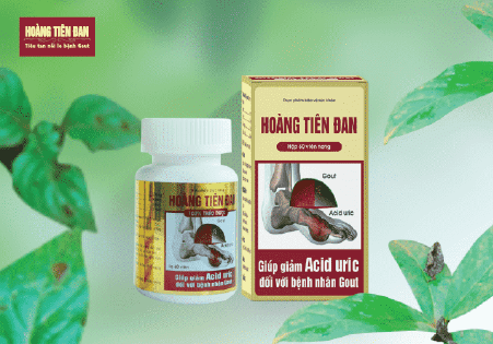 Hoàng Tiên Đan – Giải pháp trị gút và tăng cường sinh lý từ thận