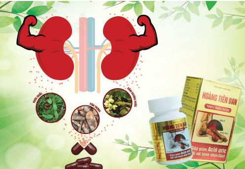 Bộ 3 thảo dược là “khắc tinh” của gút và yếu sinh lý