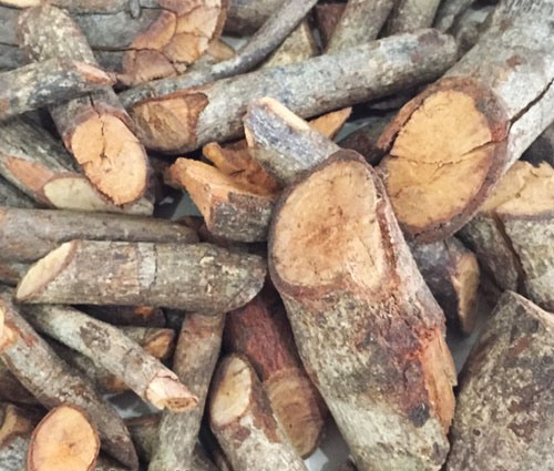 Cây Tơm Trơng mang lại hy vọng cho người mắc gút bị yếu sinh lý