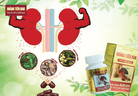 Tăng cường chức năng lọc của thận là “chìa khóa” giúp điều trị bệnh gút và khôi phục khả năng sinh lý