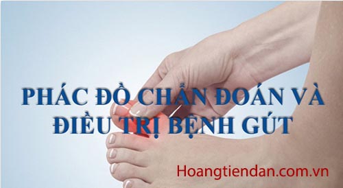 Phác đồ điều trị bệnh gout