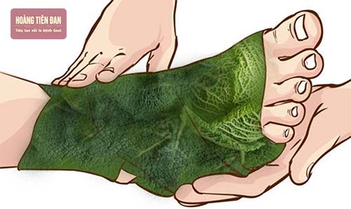 Dùng lá bắp cải chườm nóng hoặc lạnh giảm đau vô cùng hiệu quả