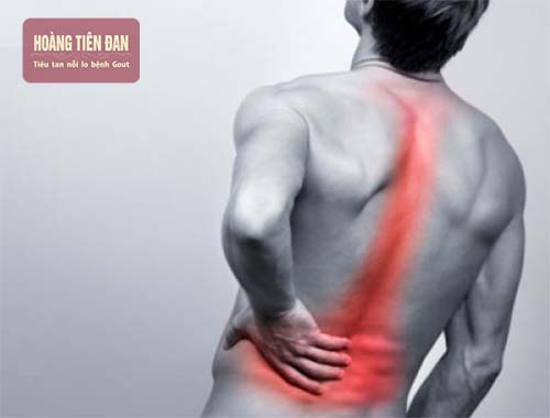 Tình trạng đau nhức gáy, thắt lưng đến từ rất nhiều nguyên nhân