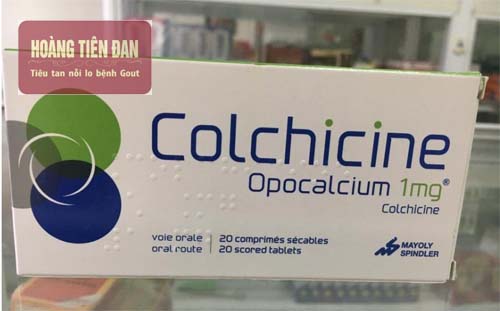 Colchicin là thuốc rất phổ biến trong điều trị bệnh gout cấp