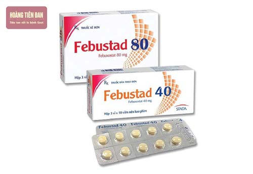 Thuốc Febuxostat giúp làm giảm hàm lượng axit uric trong máu, hỗ trợ điều trị gout.