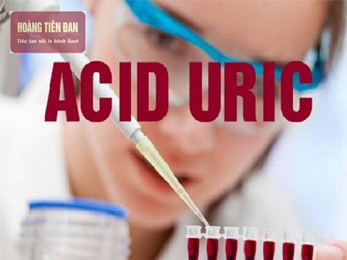  Nồng độ acid uric cho biết bạn có mắc bệnh gout hay không