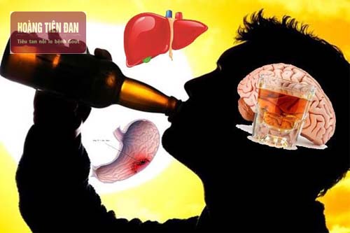 Bệnh gout làm giảm chức năng gan thận.