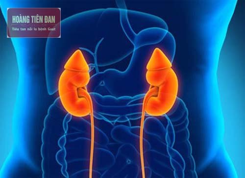 Chức năng thận của người bị suy thận độ 2 suy giảm 40- 50% .