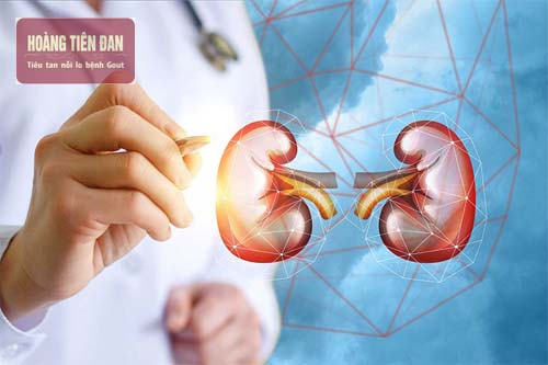   Quá trình đào thải acid uric suy giảm khiến nồng độ acid uric máu tăng cao