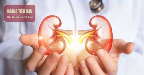   Nguyên nhân gây suy thận giai đoạn cuối.