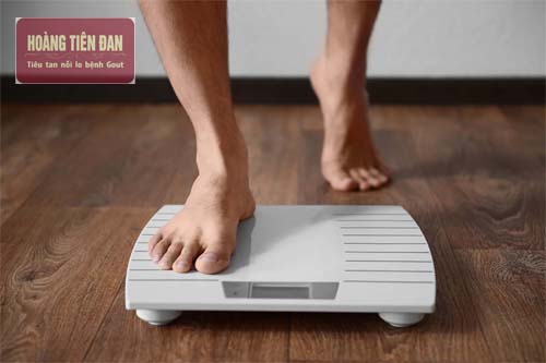  Người thừa cân, béo phì thường mắc gout.