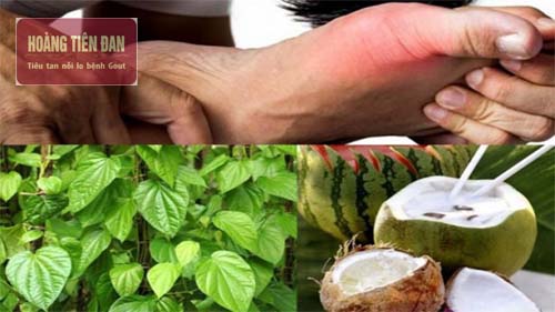 Kết hợp nước dừa với lá trầu để mang lại hiệu quả cao nhất trong điều trị gout