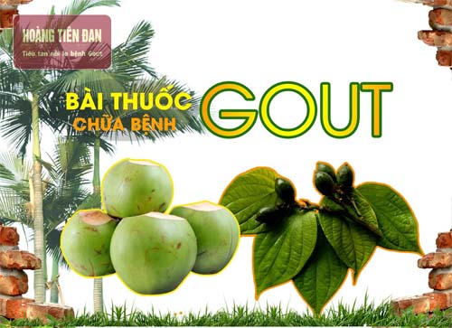 Cần kiên trì áp dụng nước dừa kết hợp với lá trầu trong điều trị gout