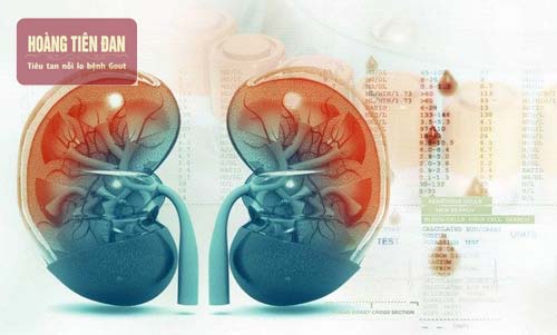  Suy thận độ 3 là gì?