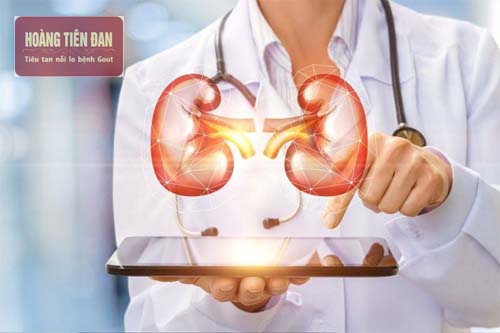 Tiểu đường và huyết áp tăng là hai nguyên nhân chính gây suy thận mạn.