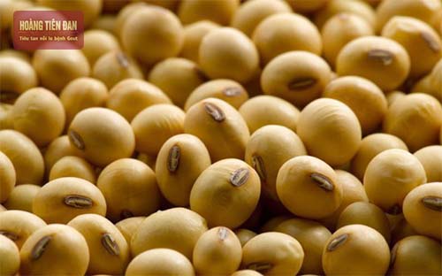 Đậu tương là một thực phẩm nên có trong chế độ ăn cho người bệnh gout