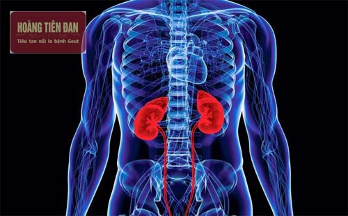 Suy thận độ 5 là giai đoạn cuối của bệnh.