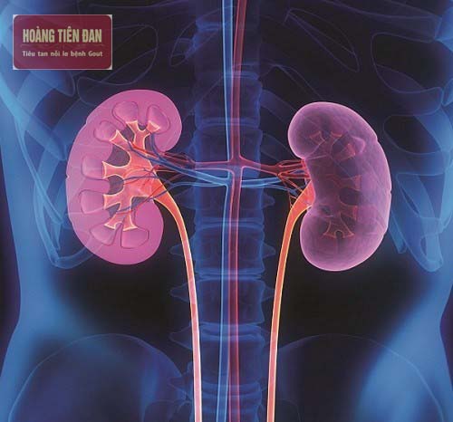   Suy thận độ 1 là cấp độ đầu tiên của bệnh suy thận