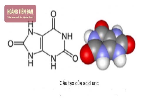   Acid uric tăng trong máu có thể là dấu hiệu của một số bệnh