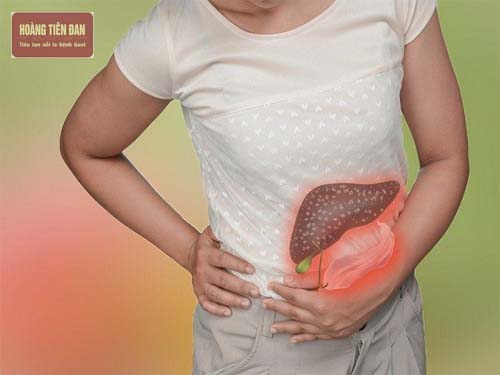   Uống nhiều rượu là một trong những nguyên nhân gây xơ gan và ung thư gan