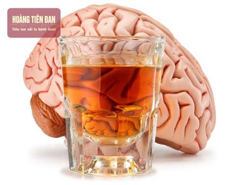 Não bộ bị ảnh hưởng khi uống nhiều rượu
