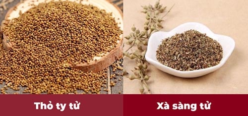 Hai dược liệu quý được bổ sung trong Hoàng Tiên Đan new