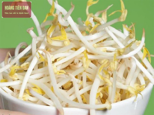 Giá đỗ là một trong những loại rau nên kiêng khi mắc bệnh gút