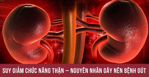 Suy giảm chức năng thận