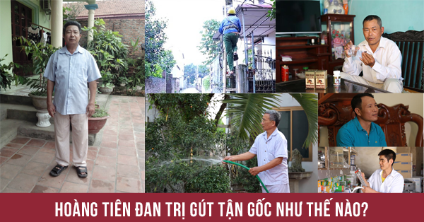 Hoàng Tiên Đan trị bệnh gút như thế nào?