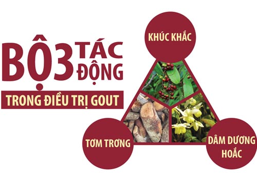 Điều trị bệnh gout bằng thảo dược thiên nhiên qua lời khuyên của chuyên gia